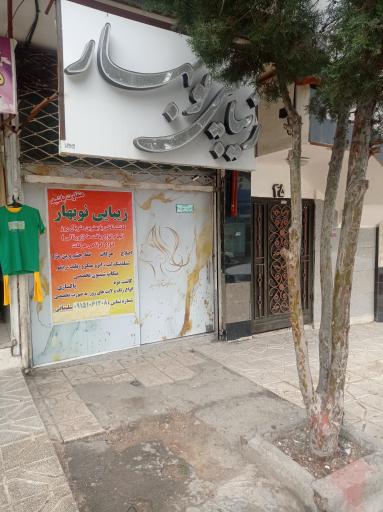 عکس زیبایی نوبهار