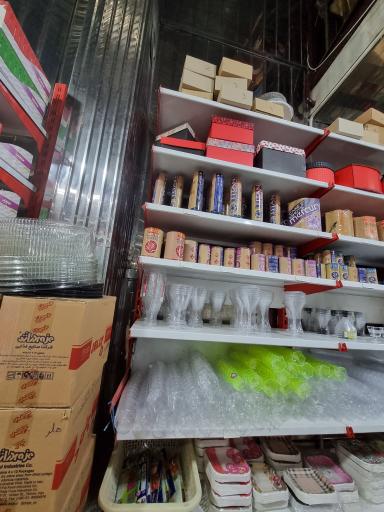 عکس یکبار مصرف بهاران