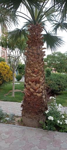 عکس بوستان مسافر