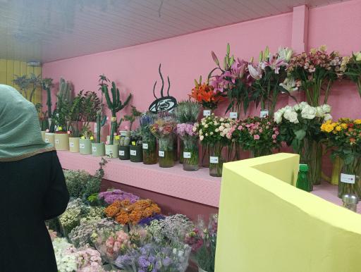 عکس گل سرای گالریا