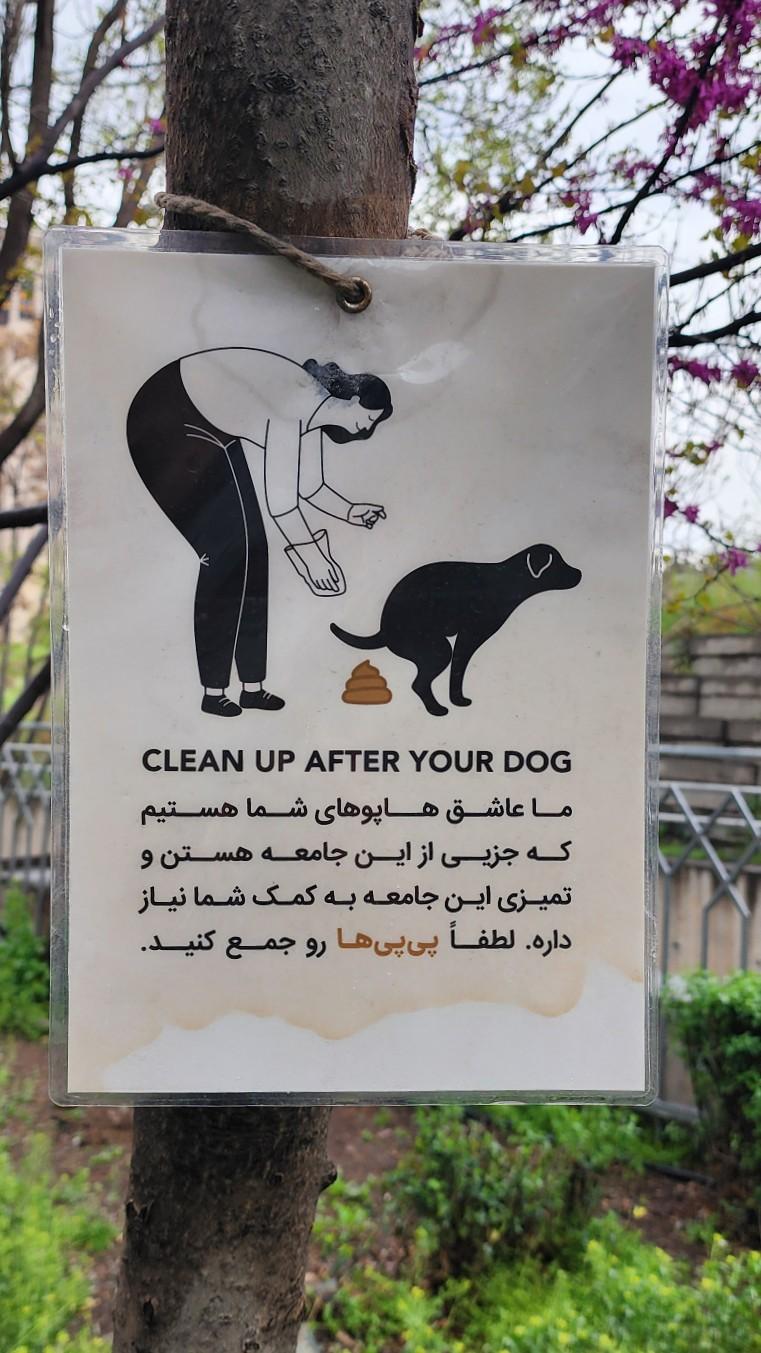 عکس بوستان مینا