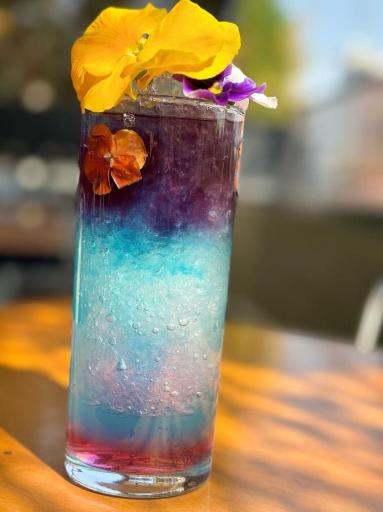 عکس آن وان کافه