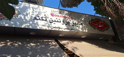 عکس هایپر پروتئین تکتم