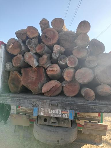 عکس صنایع چوب بلوط 