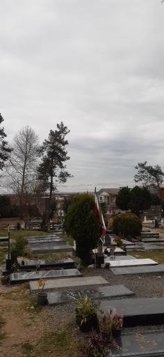 عکس بقعه 12 تن (ع) ملاط