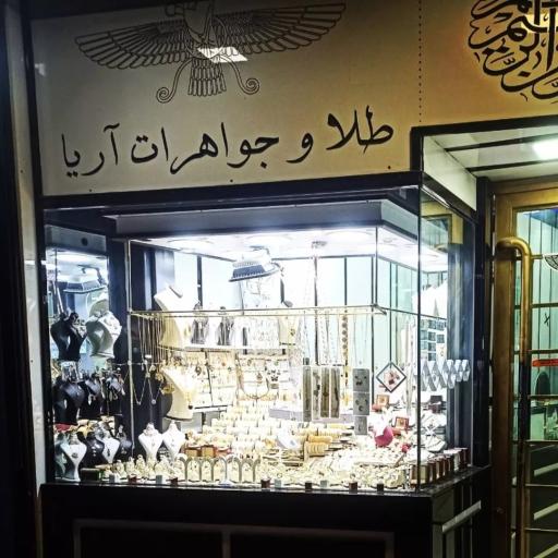 عکس طلای آریا (محمد دهقانی)