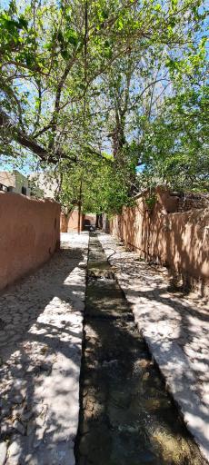 عکس کوچه باغ دردشت