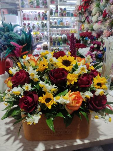 عکس گلکده میخک 