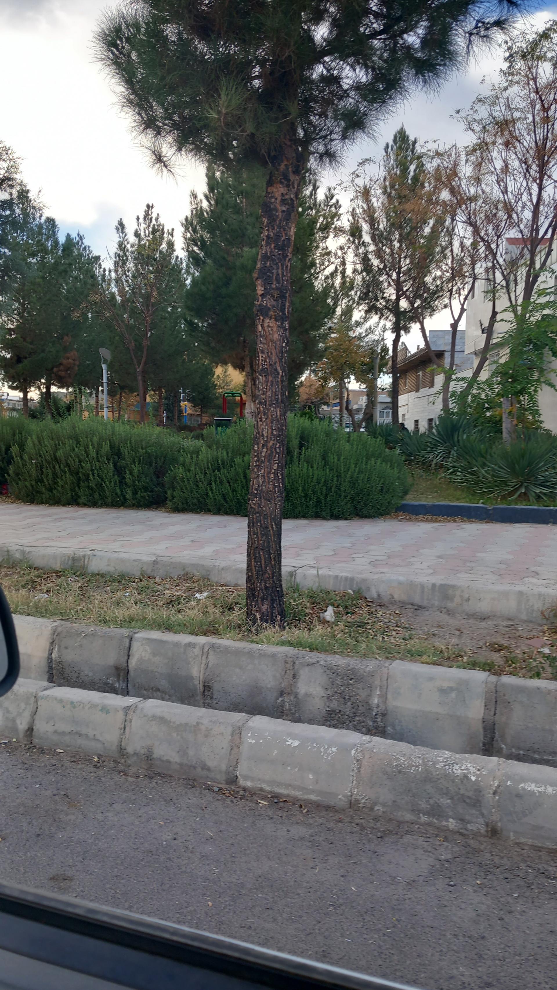 عکس پارک آزادگان