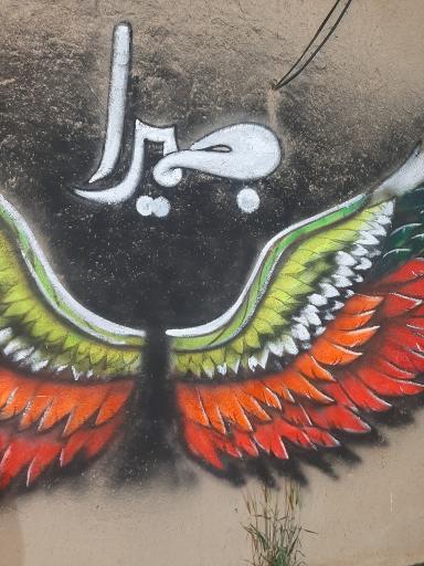 عکس کافه جمیرا