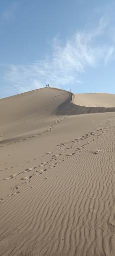 عکس صفائیه (فردوسیه)