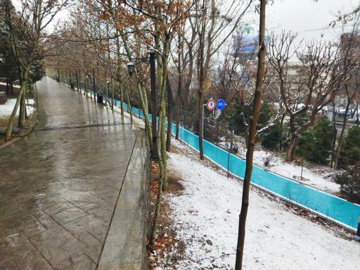 عکس باغ راه فدک