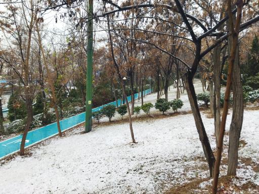 عکس باغ راه فدک