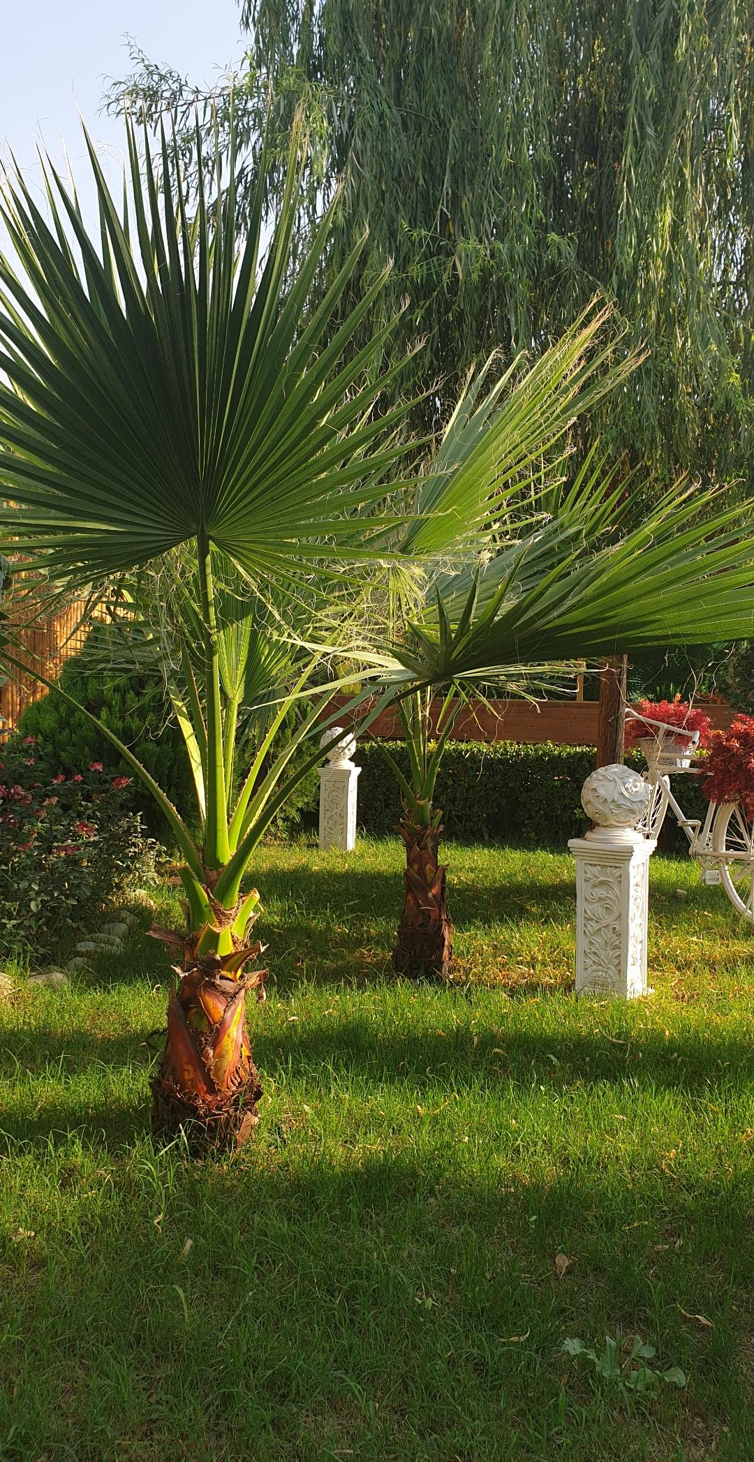 عکس باغ تالار گلهای زندگی