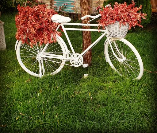 عکس باغ تالار گلهای زندگی