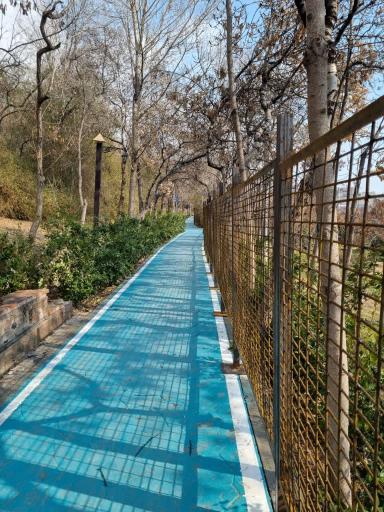 عکس باغ راه فدک