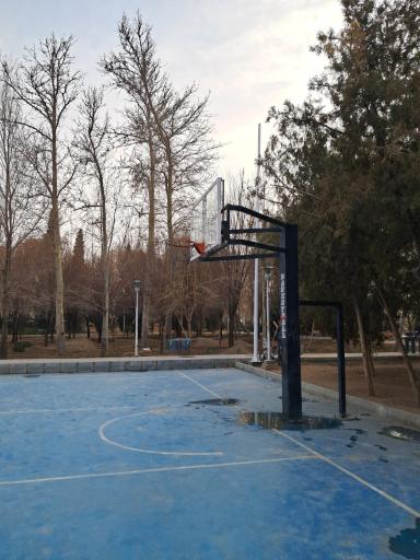 عکس زمین بسکتبال بوستان سعدی
