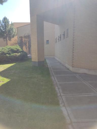 عکس هتل پتروشیمی