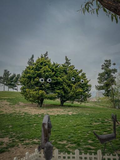 عکس باغ راه فدک