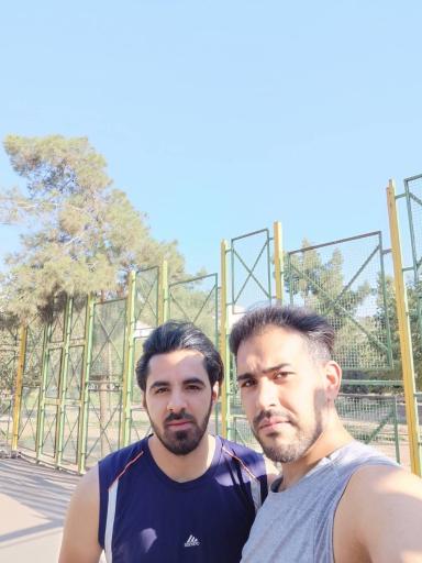عکس زمین والیبال شقایق 