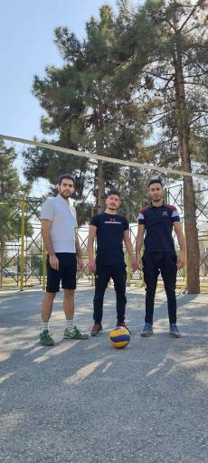 عکس زمین والیبال شقایق 