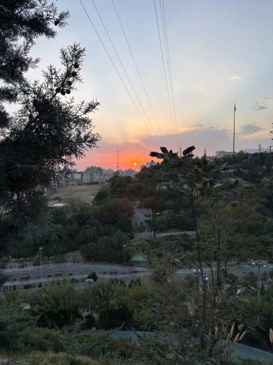 عکس باغ راه فدک