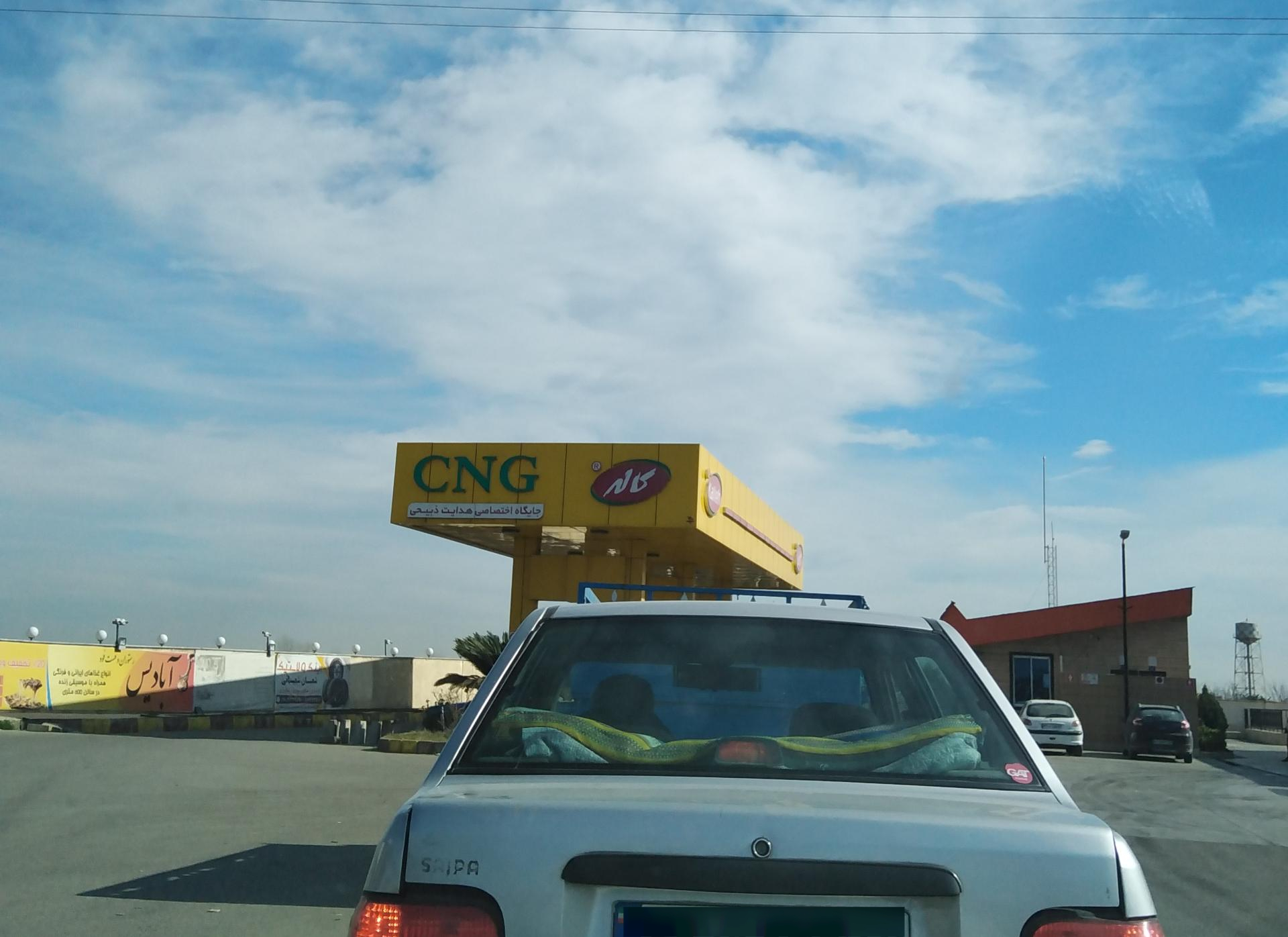 عکس جایگاه اختصاصی ذبیحی (بنزین و سی ان جی)