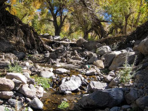 مسینان