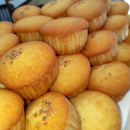 عکس خشکه پزی هیواد 