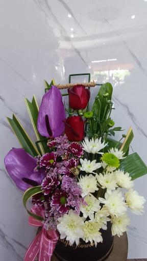 عکس اقای گل