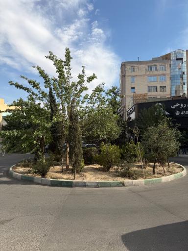 عکس میدان ارغوان