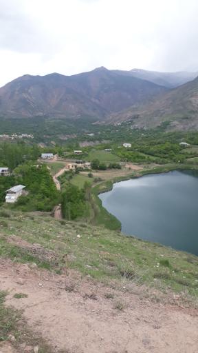 عکس دورچاک