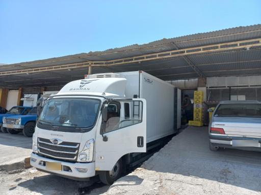 عکس پخش مرغ زمانی