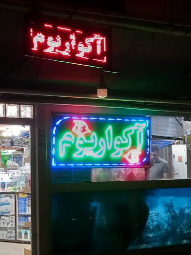 عکس آکواریوم ستاره خلیج