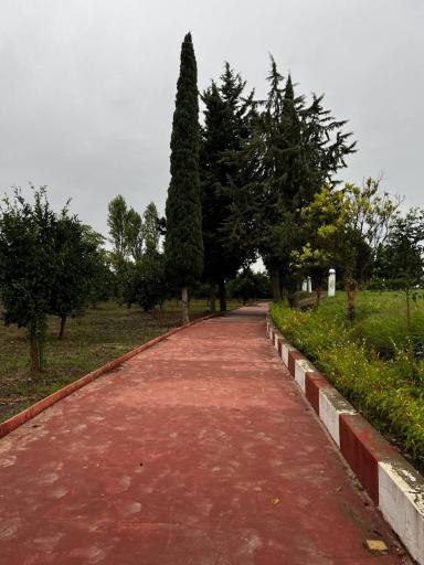 عکس دانشگاه فرهنگیان امام علی (ع)بابلسر