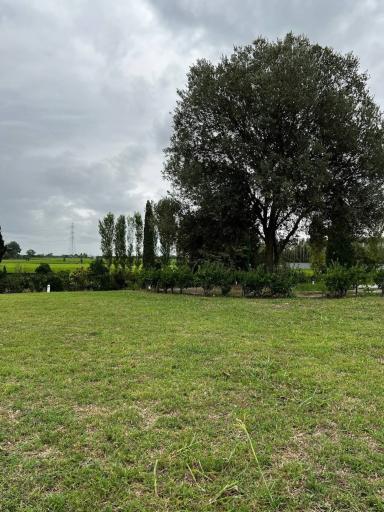 عکس دانشگاه فرهنگیان امام علی (ع)بابلسر