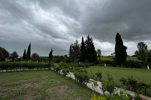 عکس دانشگاه فرهنگیان امام علی (ع)بابلسر