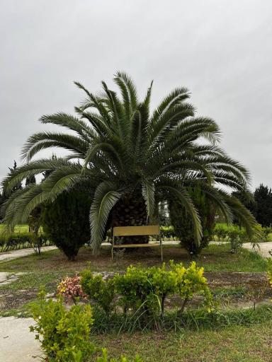 عکس دانشگاه فرهنگیان امام علی (ع)بابلسر