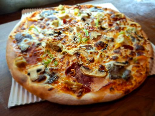 عکس پیتزا تورینو