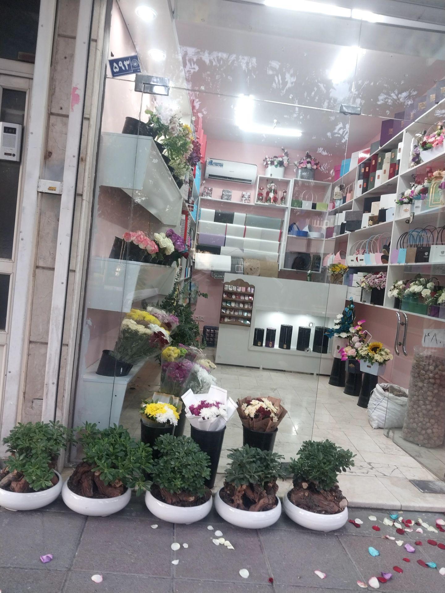 عکس آیسا گل 