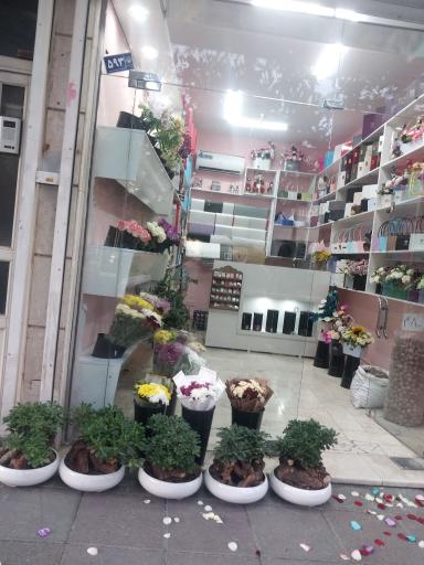 عکس آیسا گل 