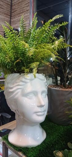 عکس گل و گیاه علی اکبری