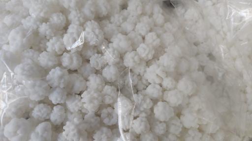 عکس پولک و نبات نکویی