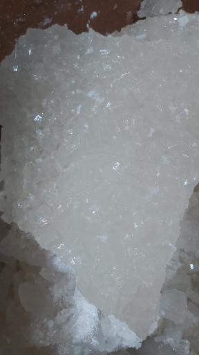 عکس پولک و نبات نکویی