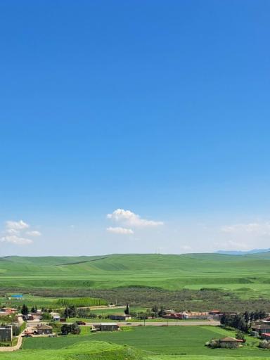 عکس بیله سوار