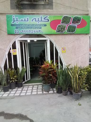 عکس کلبه سبز