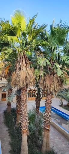 عکس مسجد جامع قدیم بافق