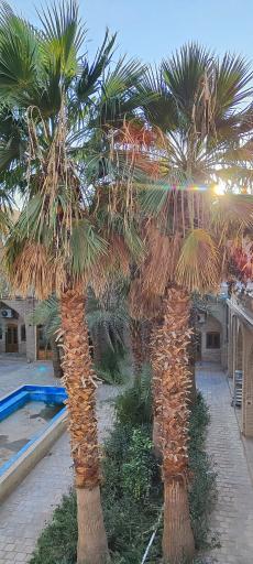 عکس مسجد جامع قدیم بافق