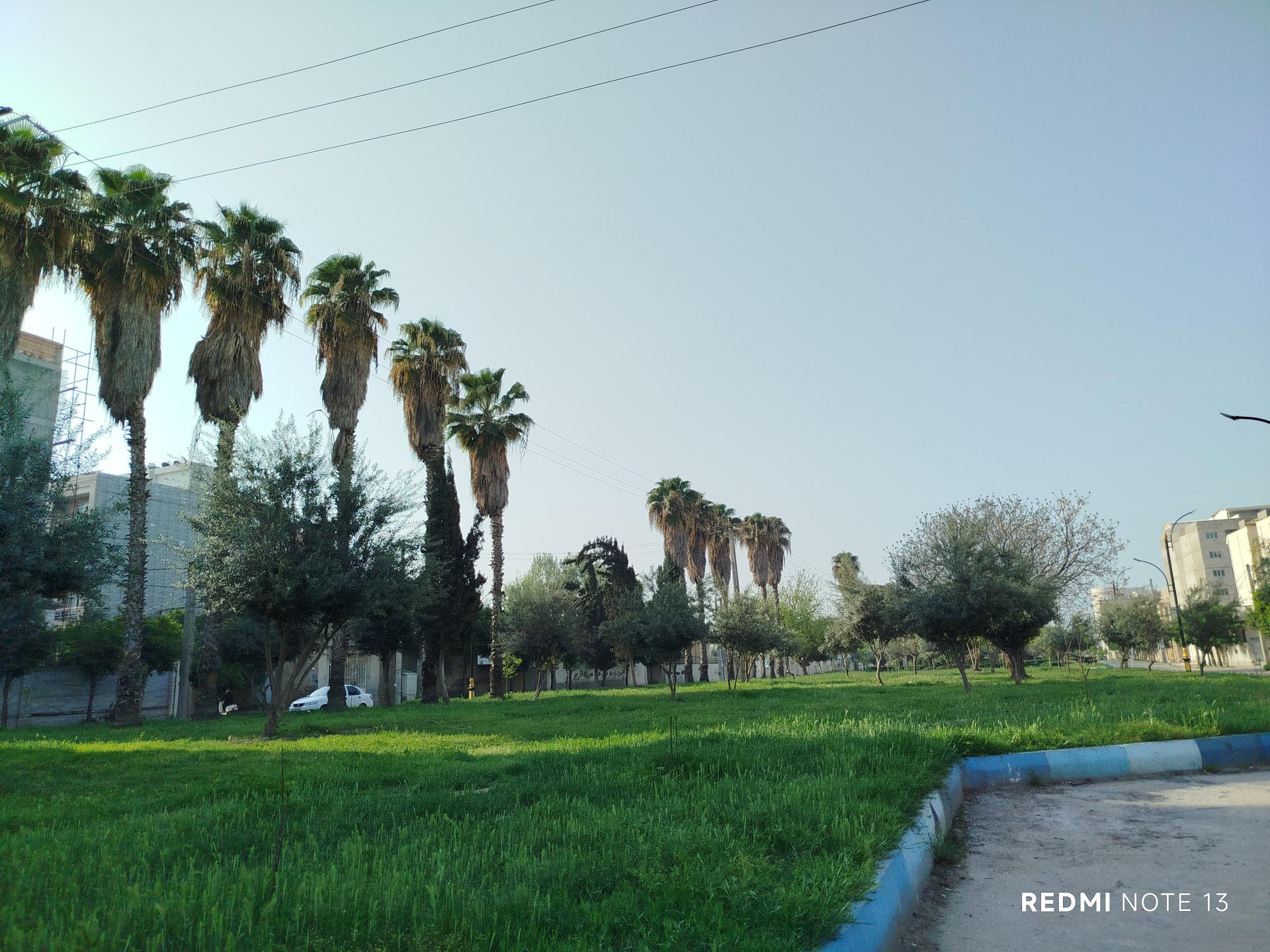 عکس فضای سبز