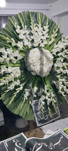 عکس کلبه سبز